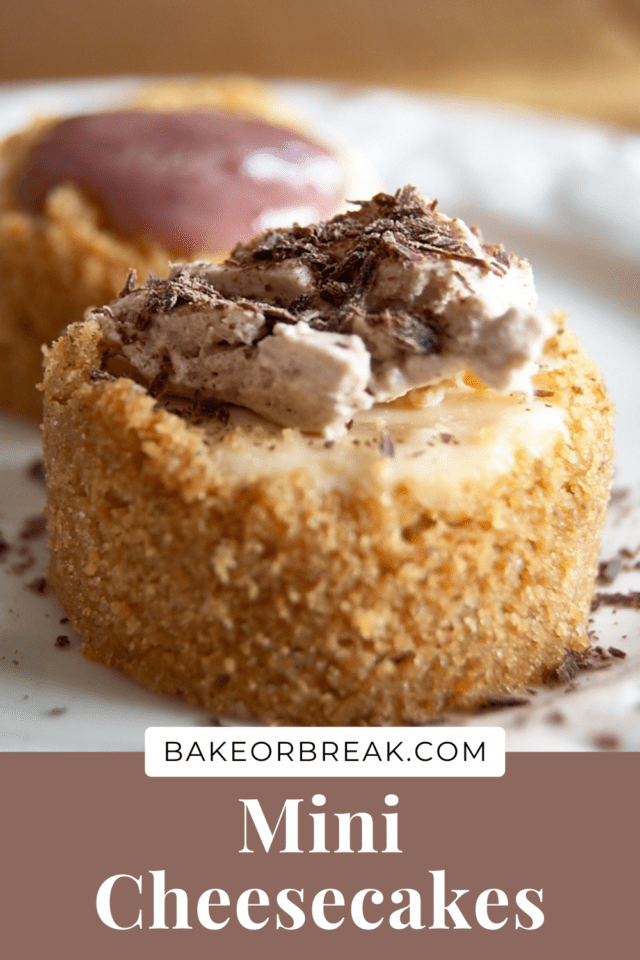 Mini Cheesecakes bakeorbreak.com