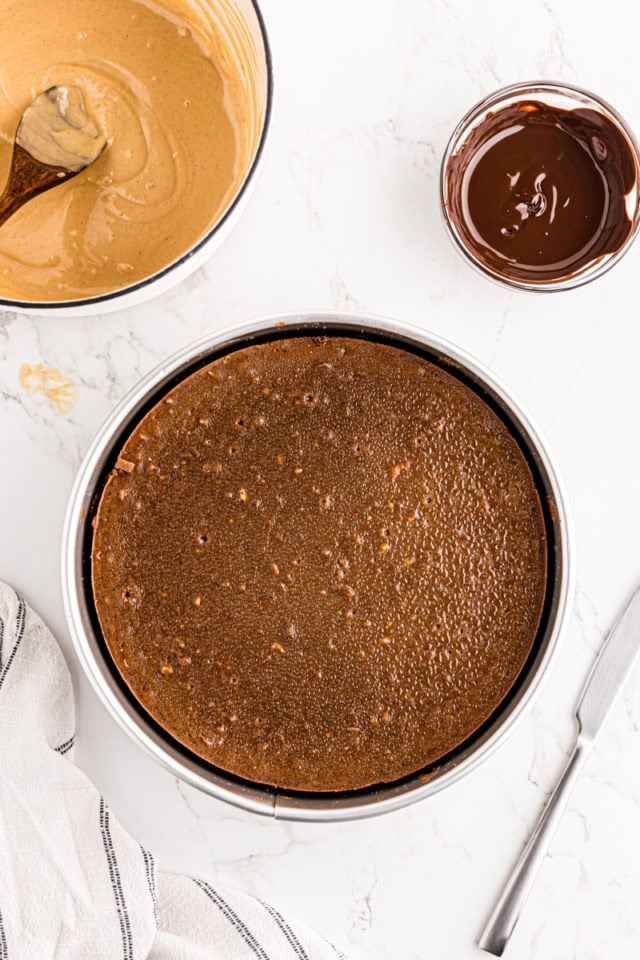 Cooled chocolate peanut butter cheesecake in pan