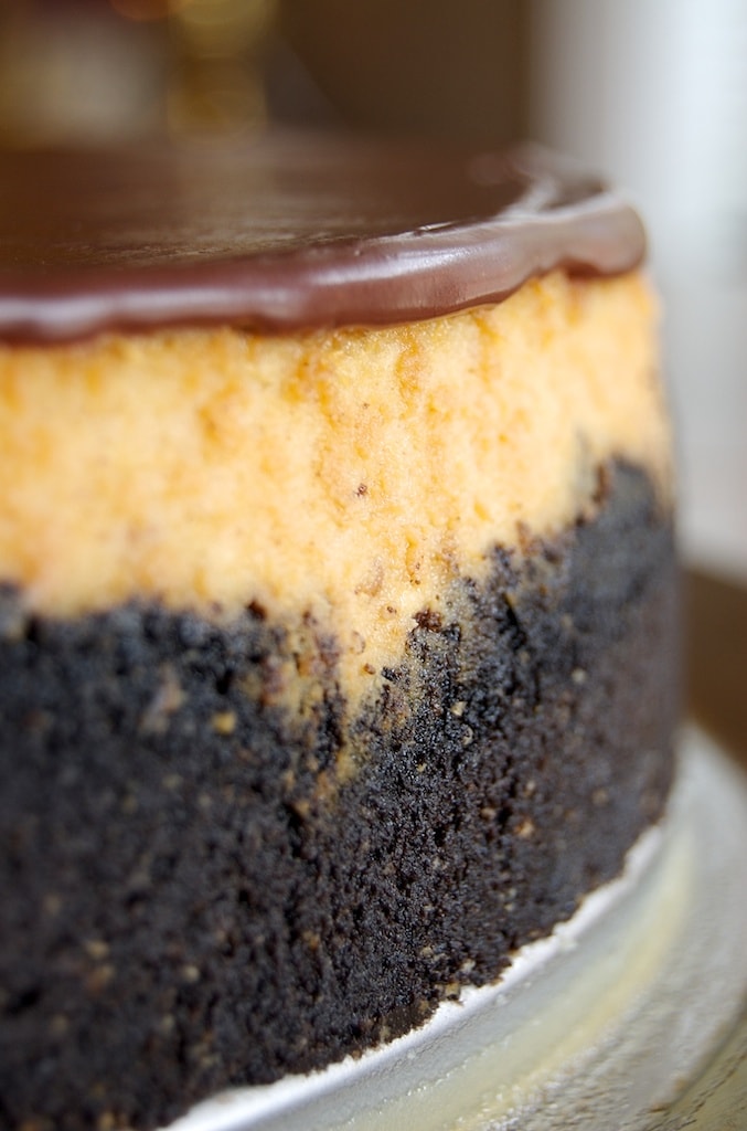 close up view of Peanut Butter Cup Cheesecake