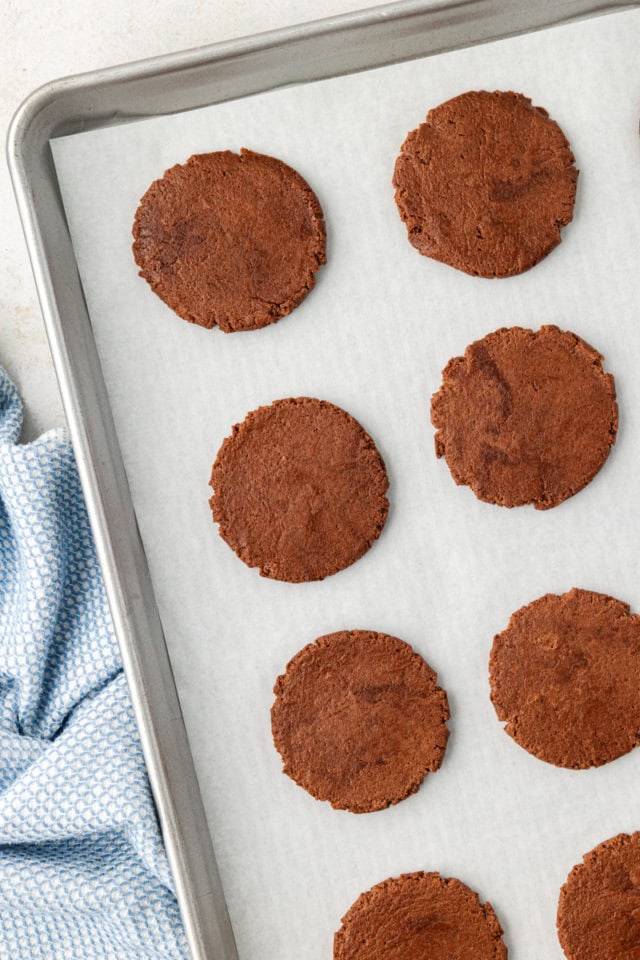 Flattened chocolate cookie dough on baking sheet