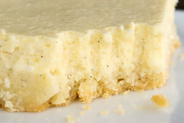 Vanilla Bean Cheesecake Bars