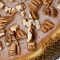 Pecan and salted caramel cheesecake with pieces of pecan on top.