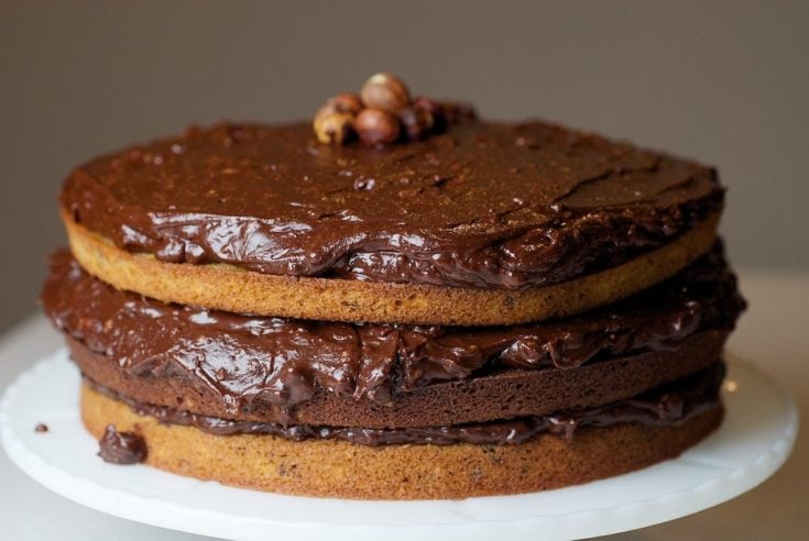 Double Nut Drenched Chocolate Cake