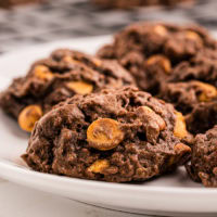 Closeup of chocolate butterscotch cookies on plate