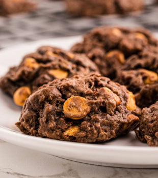 Closeup of chocolate butterscotch cookies on plate