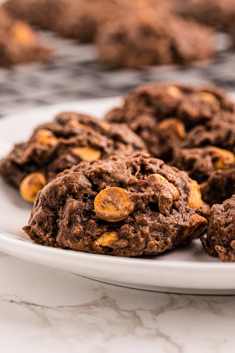 Closeup of chocolate butterscotch cookies on plate