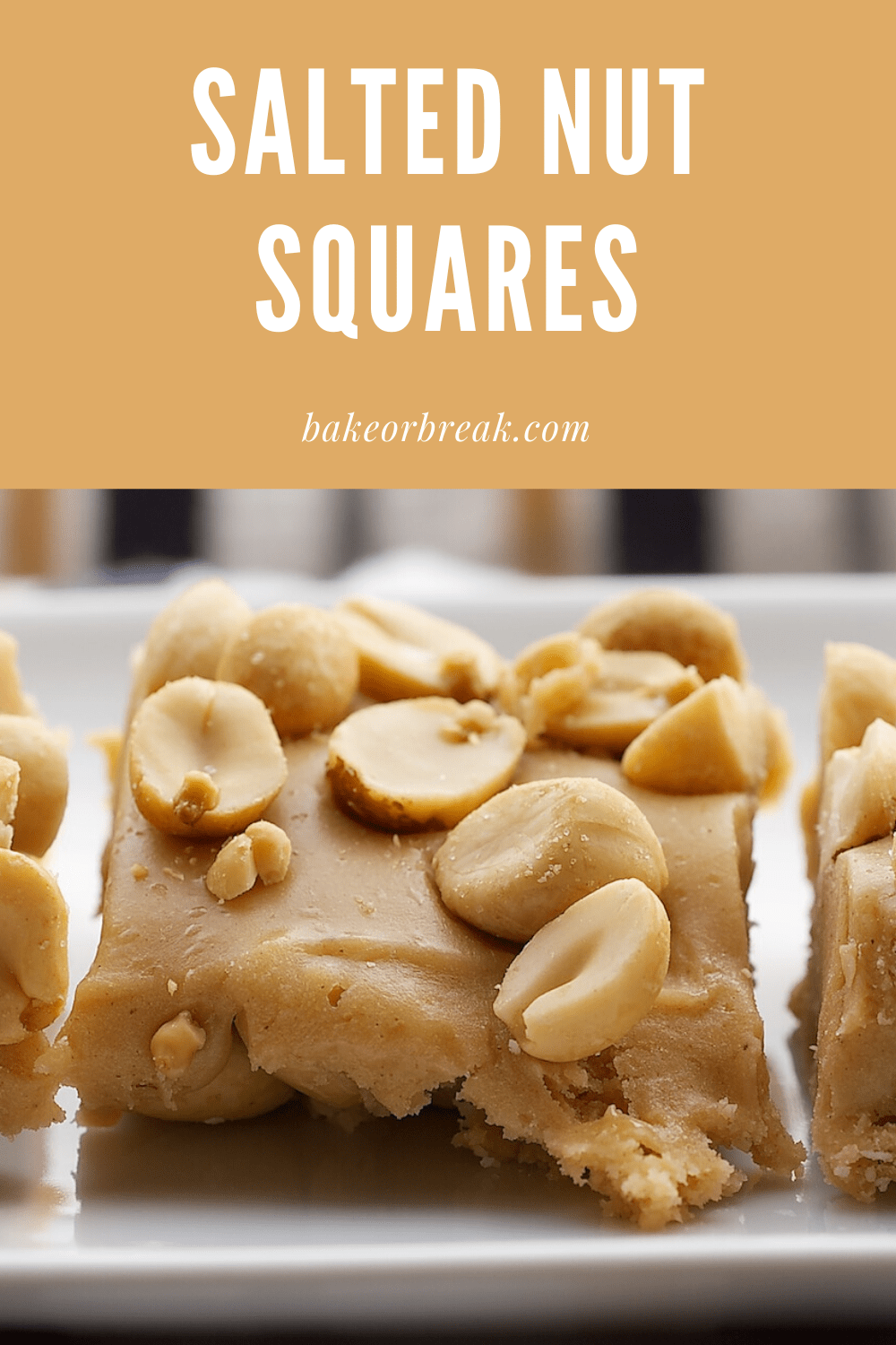 Salted Nut Squares