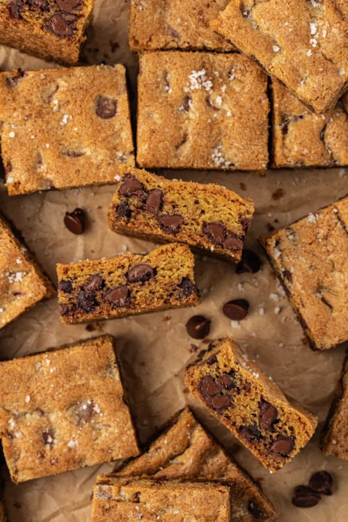 Fleur De Sel Chocolate Chip Blondies Bake Or Break 