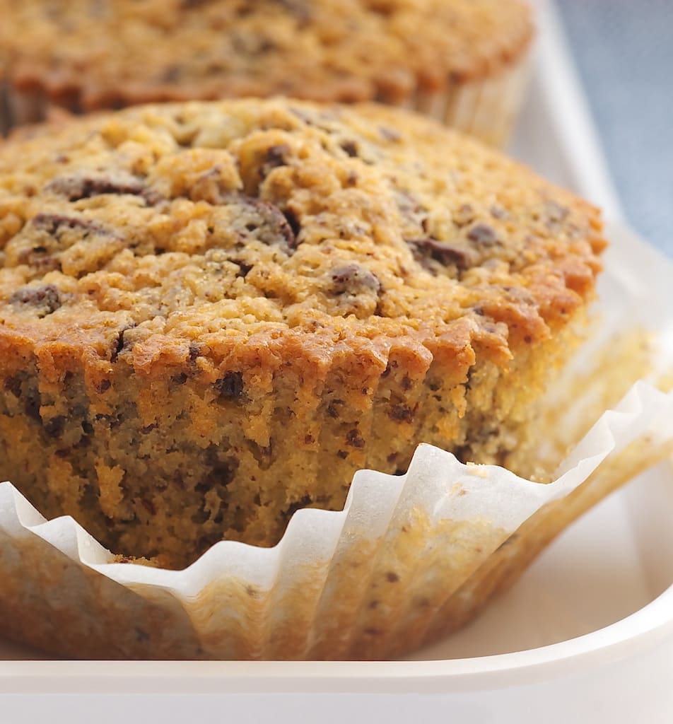 Chocolate Chunk Cupcake