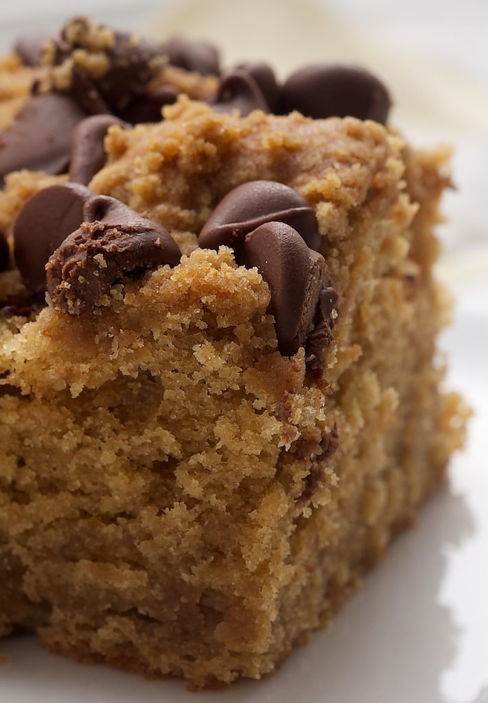 Rich Peanut Butter Chocolate Chip Cake | Bake or Break