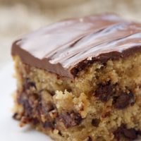 slice of Chocolate Chip Snack Cake on a white plate