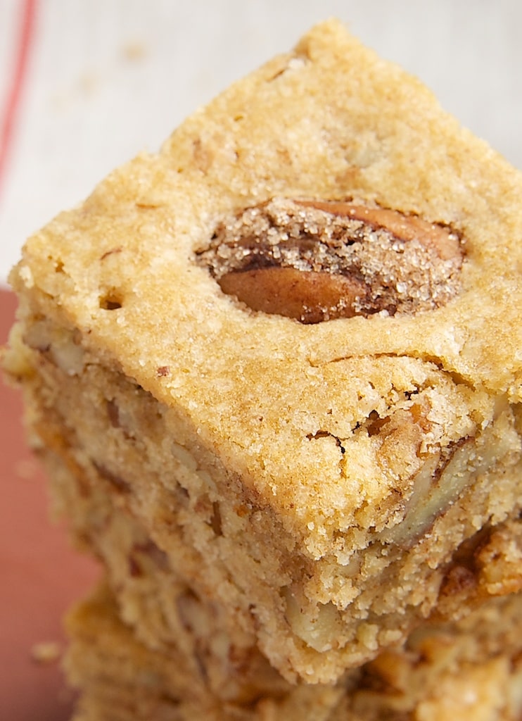 Cinnamon-Sugar Pecan Bars are sweet, crunchy bars made with simple homemade cinnamon-sugar pecans. - Bake or Break