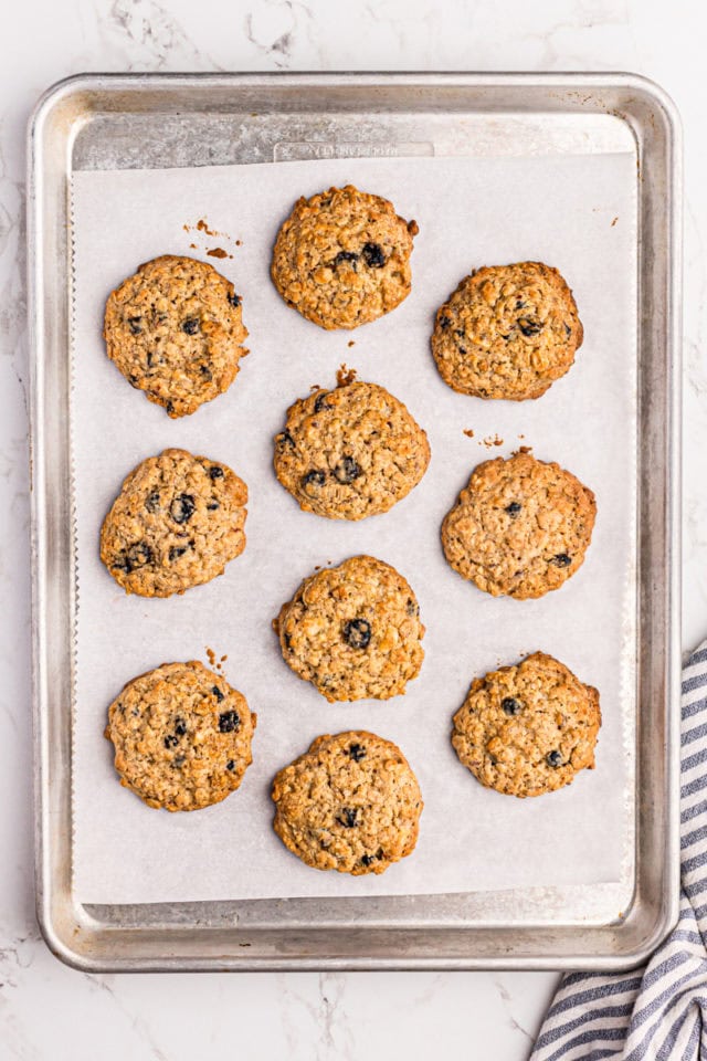 Overhead view of blueberry oatmeal cookies on parchment-lined baking sheet