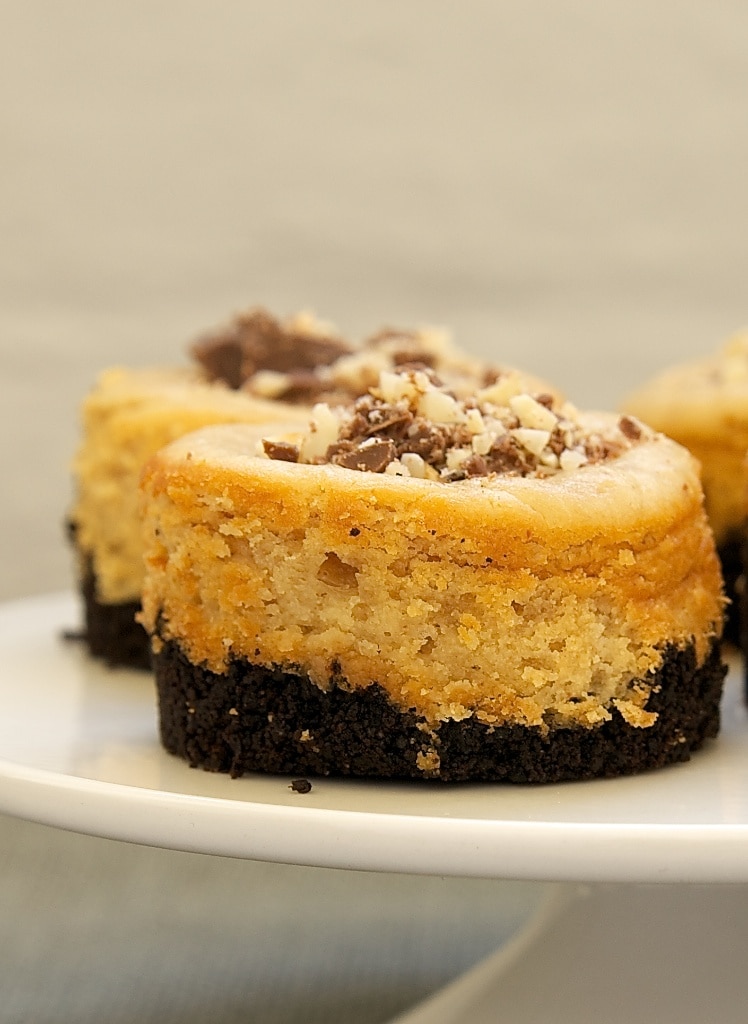 Peanut Butter Mini Cheesecakes with Chocolate Cookie Crust on a white pedestal