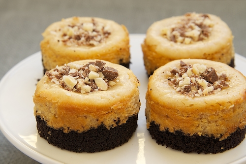 Peanut Butter Mini Cheesecakes with Chocolate Cookie Crust | Bake or Break