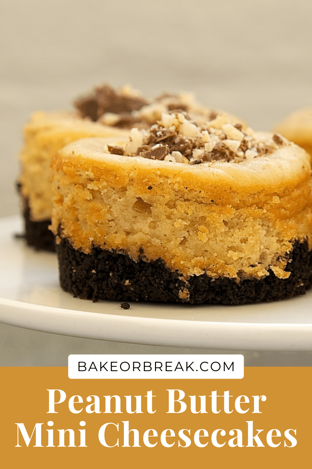 Peanut Butter Mini Cheesecakes with Chocolate Cookie Crust bakeorbreak.com