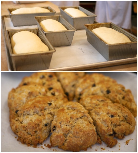 Bread and Scones at King Arthur Flour | Bake or Break
