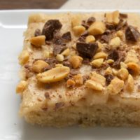 Peanut Butter Texas Sheet Cake topped with peanuts and chocolate