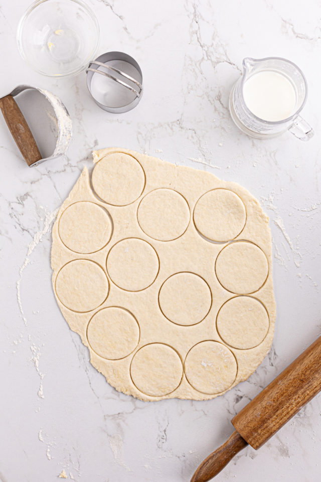 Overhead view of dough cut into biscuits