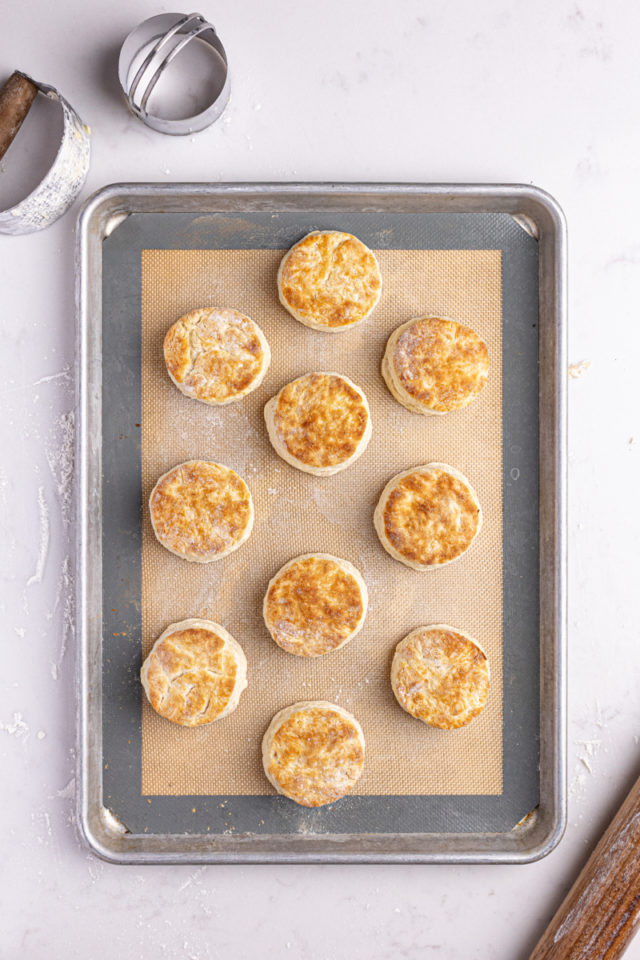 Overhead view of buttermilk biscuits on silpat-lined pan