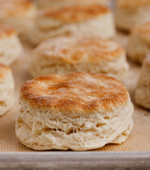 Buttermilk biscuits on sheet pan