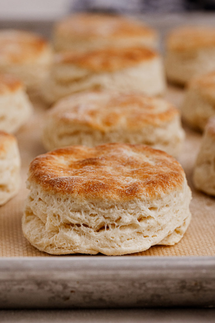 Buttermilk biscuits on sheet pan