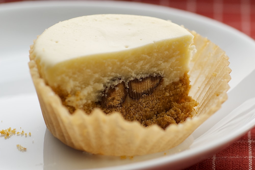 Peanut Butter Cheesecake Minis | Bake or Break