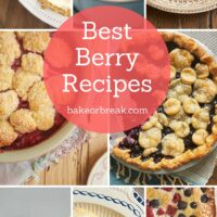 Come see some of my favorite ways to use berries in desserts, breads, and more. 40 recipes to fuel your berry baking all season long! - Bake or Break