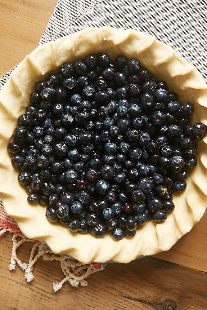 Overhead view of blueberries in an unbaked pie crust.