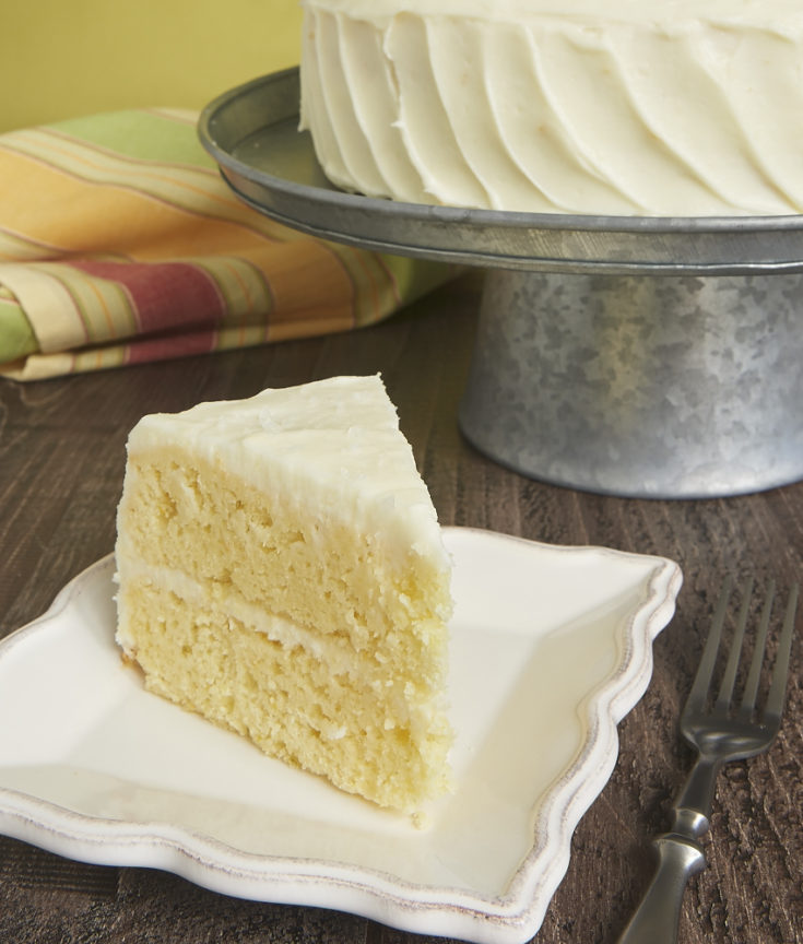 With plenty of citrus, a sweet, tart frosting, and a sprinkling of salt, Citrus Cake with Tequila-Lime Frosting is an edible cocktail! - Bake or Break