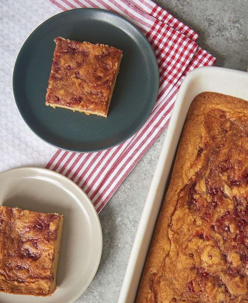 Use your favorite jam or preserves to turn simple blondies into Jam-Swirled Blondies. A sure crowd-pleaser! - Bake or Break