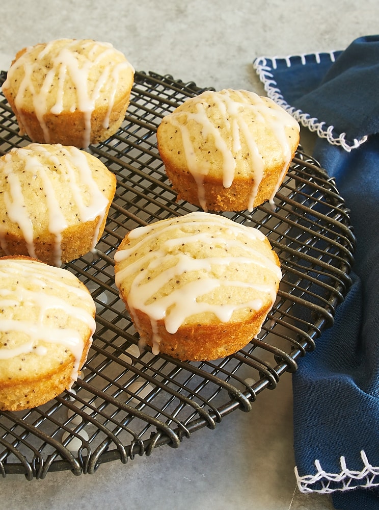 Triple Citrus Poppy Seed Muffins feature lemon, lime, and orange for plenty of citrus flavor. - Bake or Break