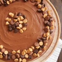 Fans of chocolate and peanut butter will be wowed by this beautiful, sweet, delicious Peanut Butter Cake with Chocolate Frosting! - Bake or Break