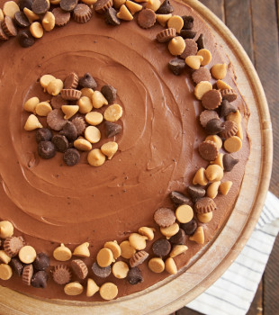 Fans of chocolate and peanut butter will be wowed by this beautiful, sweet, delicious Peanut Butter Cake with Chocolate Frosting! - Bake or Break