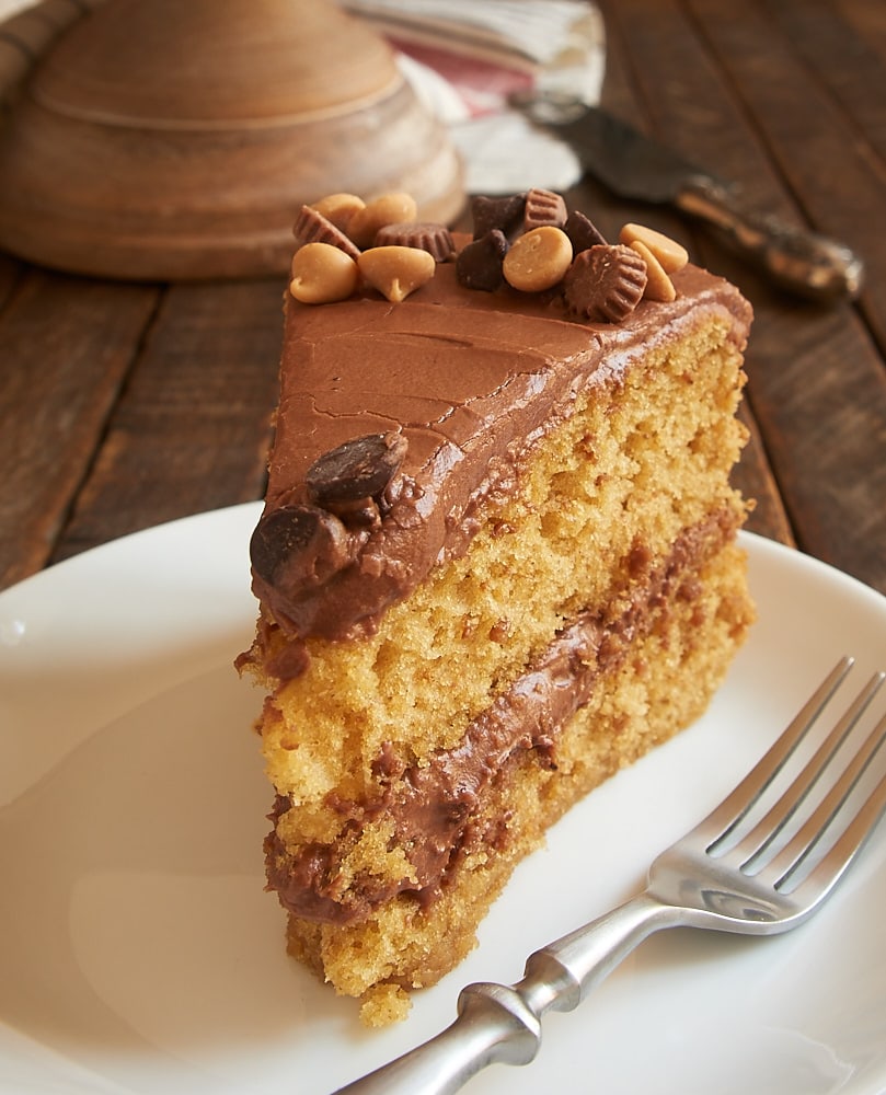 Fans of chocolate and peanut butter will be wowed by this beautiful, sweet, delicious Peanut Butter Cake with Chocolate Frosting! - Bake or Break
