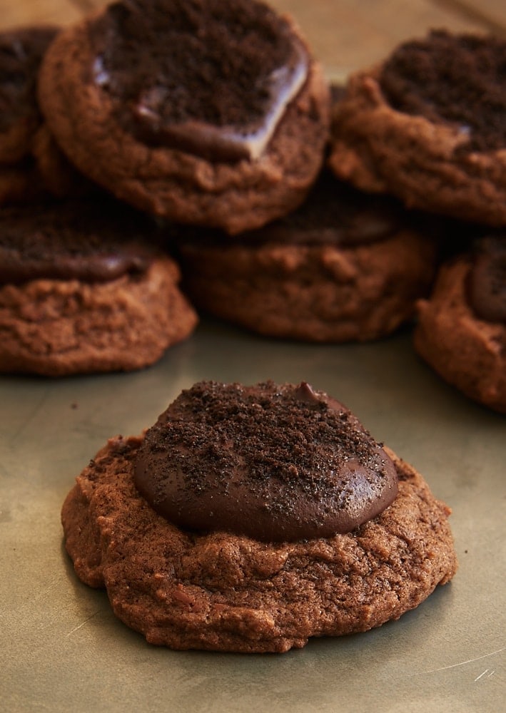 Chocolate lovers will absolutely adore these wonderfully rich and delicious Chocolate Blackout Cookies! - Bake or Break