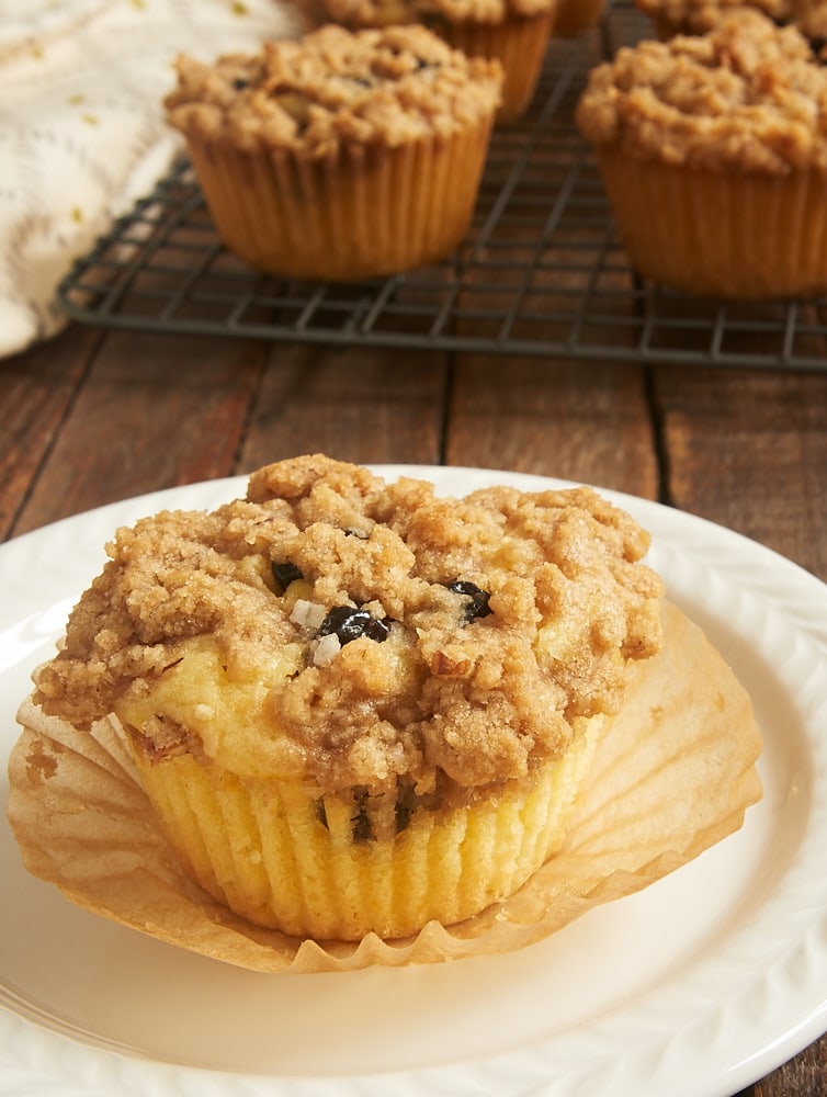 Ambrosia Muffins are certainly not lacking in the flavor department. Coconut, pineapple, cherries, oranges, nuts, and coconut all come together to make these fantastic muffins! - Bake or Break