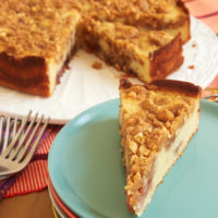 Peanut Butter and Jelly Crumb Cake combines a simple cake with the irresistible flavors of peanut butter and jelly for a wonderful cake that is perfect for a snack, coffee break, or dessert! - Bake or Break