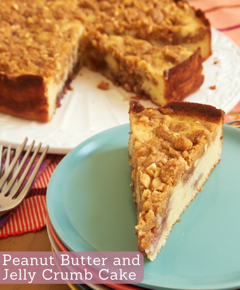 Peanut Butter and Jelly Crumb Cake combines a simple cake with the irresistible flavors of peanut butter and jelly for a wonderful cake that is perfect for a snack, coffee break, or dessert! - Bake or Break