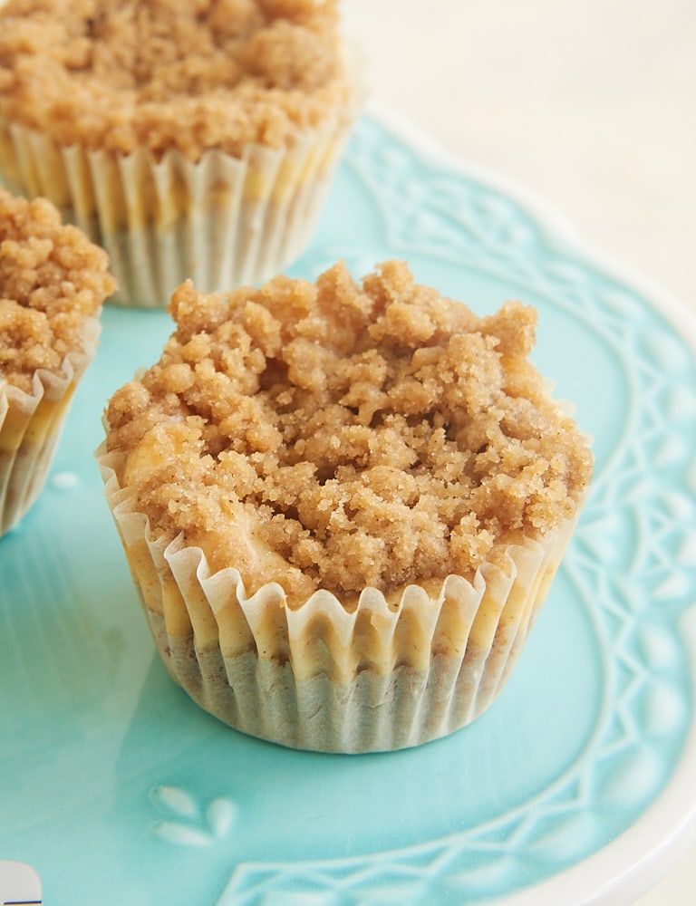 Mini Cinnamon Crumb Cheesecakes are bite-size treats full of fantastic cinnamon flavor.  - Bake or Break