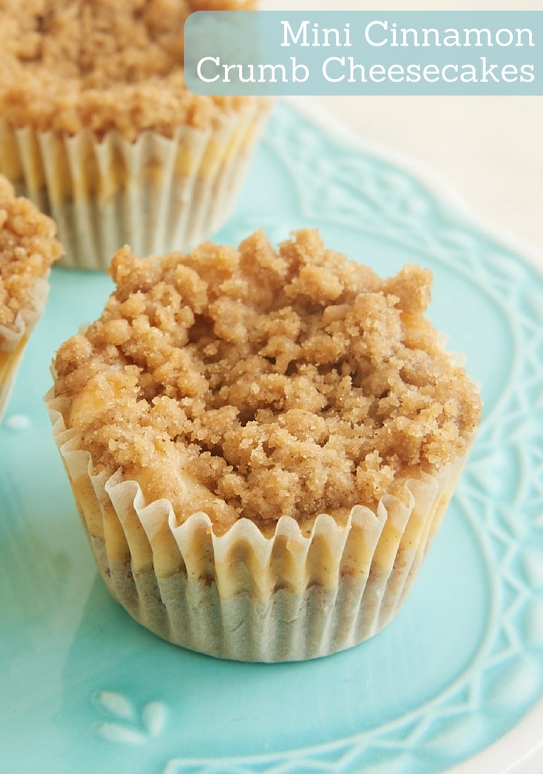 Mini Cinnamon Crumb Cheesecakes are bite-size treats full of fantastic cinnamon flavor.  - Bake or Break