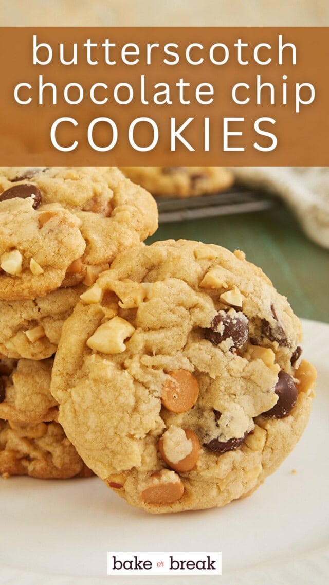 close up view of a butterscotch chocolate chip cookie; text overlay "butterscotch chocolate chip cookies bake or break"