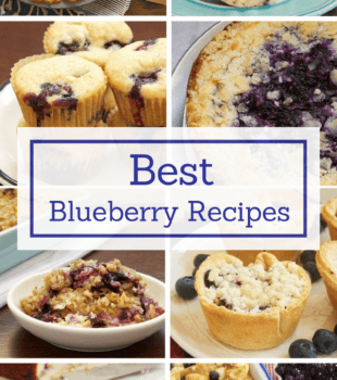 Indulge all your blueberry cravings with the best and most popular blueberry recipes from Bake or Break!