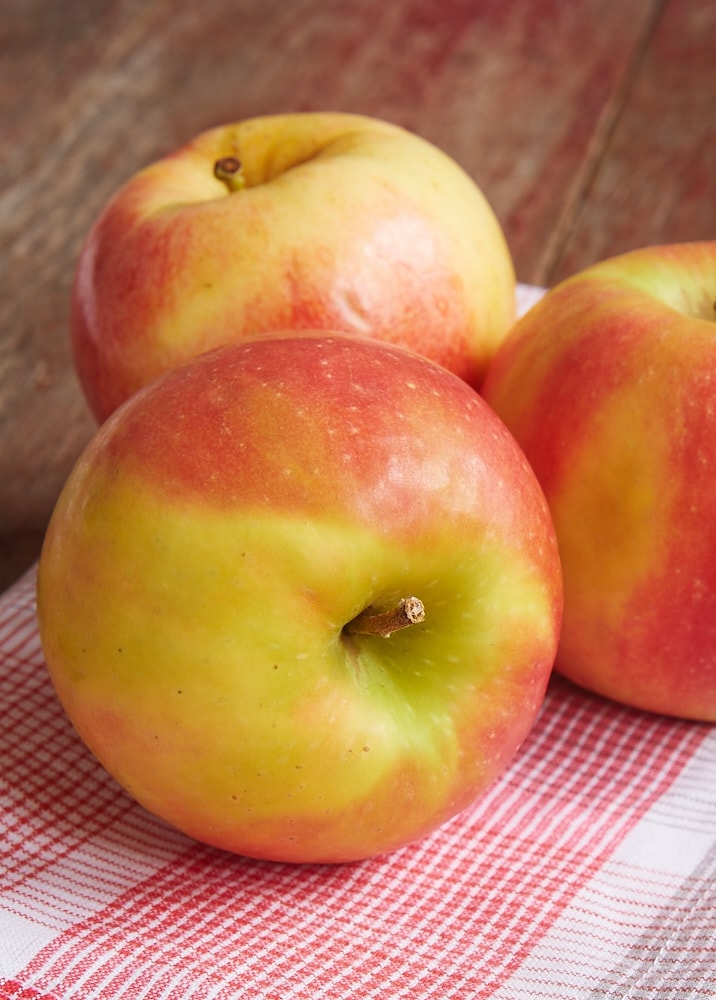 three apples on a red and white kitchen towel