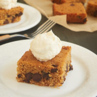 If you love the flavors of S'mores, then you must try this Chocolate Chip Graham Cracker Snack Cake. The simple cake is made with plenty of graham cracker crumbs and chocolate chips, and it's topped with a sweet marshmallow frosting. - Bake or Break