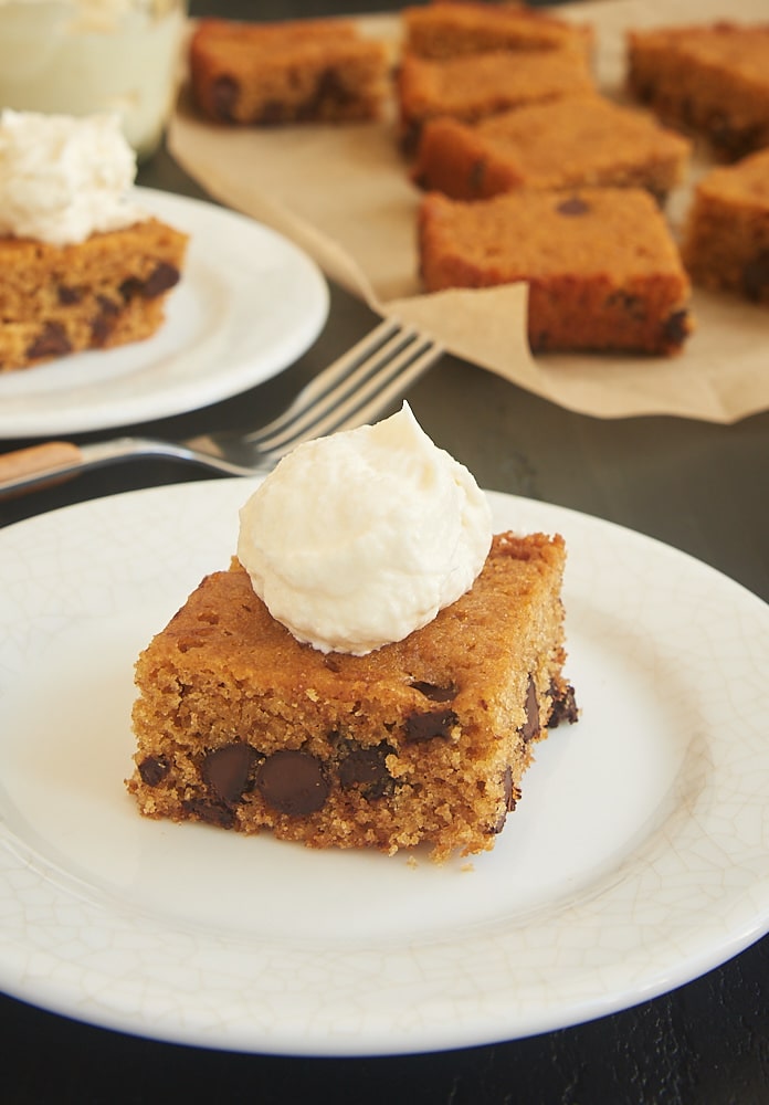 If you love the flavors of S'mores, then you must try this Chocolate Chip Graham Cracker Snack Cake. The simple cake is made with plenty of graham cracker crumbs and chocolate chips, and it's topped with a sweet marshmallow frosting. - Bake or Break