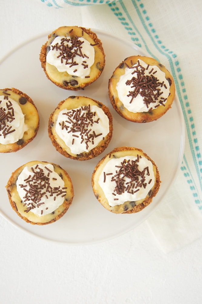 Chocolate Chip Cheesecakes topped with whipped cream and chocolate sprinkles