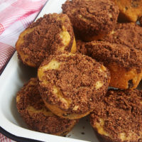 Oatmeal Chocolate Chip Muffins with Chocolate Streusel.