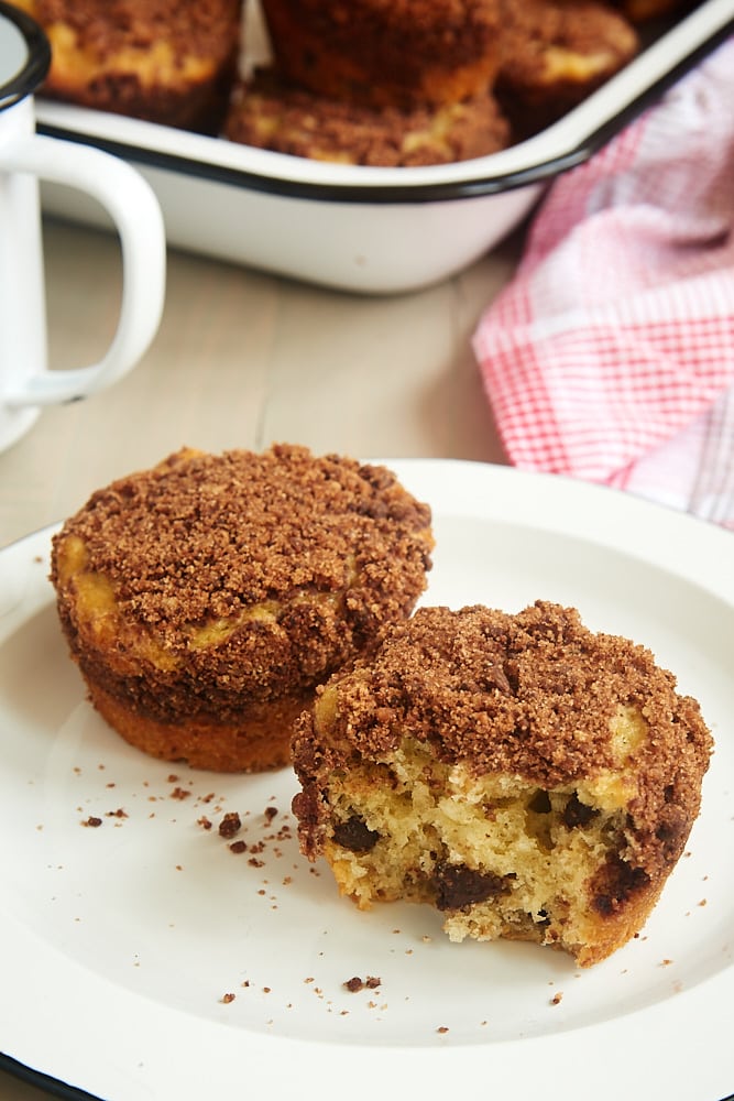 Easy oatmeal chocolate chip muffins