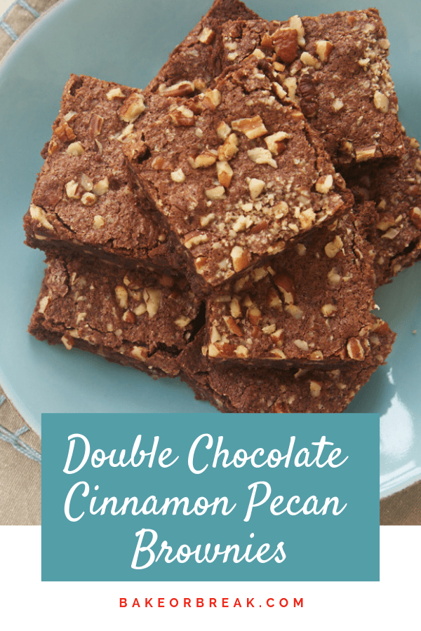 Double Chocolate Cinnamon Pecan Brownies bakeorbreak.com